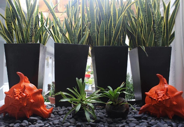 Beacon South Beach Hotel image 12